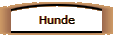 Hunde