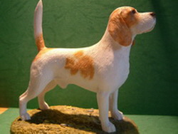 Kartenvorlage Beagle bi  10